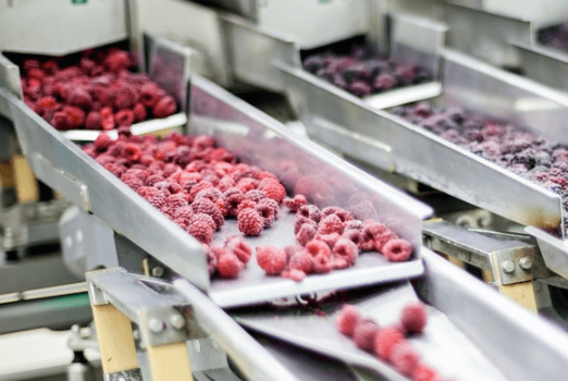 Elevating Food and Beverage Sorting with Multi-Band Filtering Technology