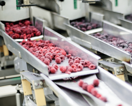 Elevating Food and Beverage Sorting with Multi-Band Filtering Technology