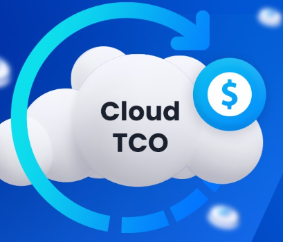 TCO Showdown: Comparing Cloud and On-Premise Infrastructure Costs