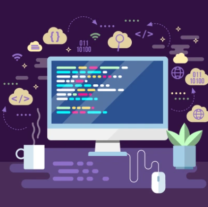 The Role of Programming Languages in Data Science
