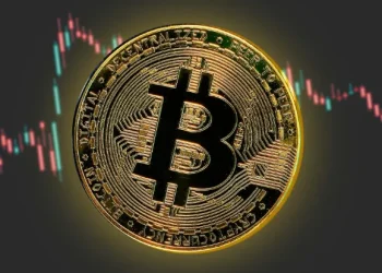 Are Acceleration Programs Valuable for Web3 Startups?